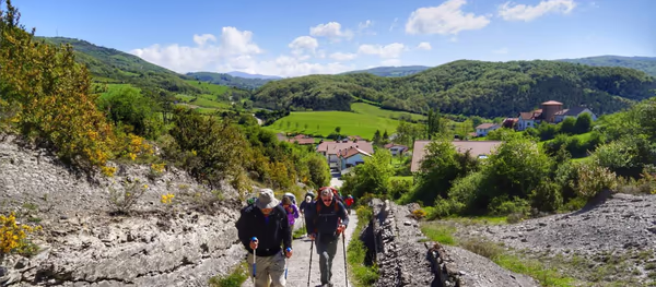 Camino Crossing